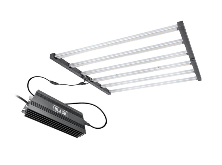 Why More Growers Are Upgrading to the Lumii Black 720w LED