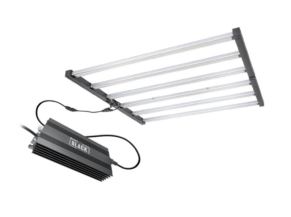 Why More Growers Are Upgrading to the Lumii Black 720w LED