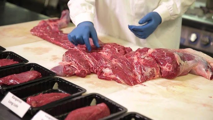 Is Camel Meat Good for Diabetics? Nutritional Insights & Benefits