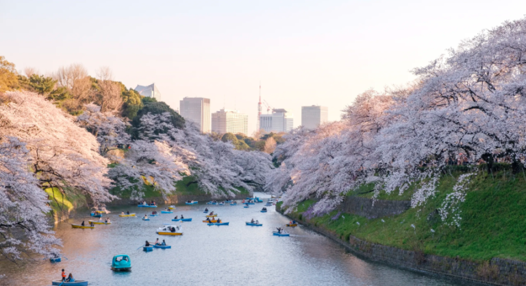 Tokyo Travel