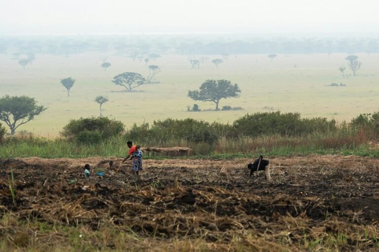 business growth assessment metrics