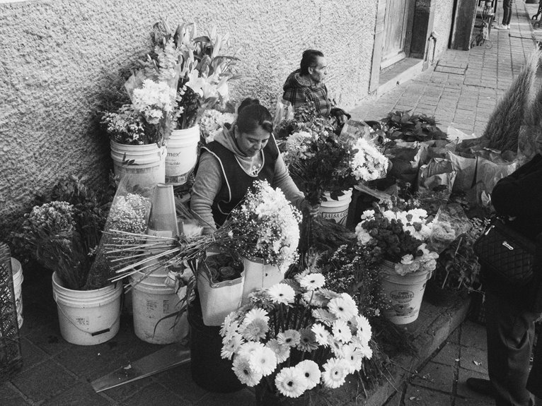 market operations summary snapshot